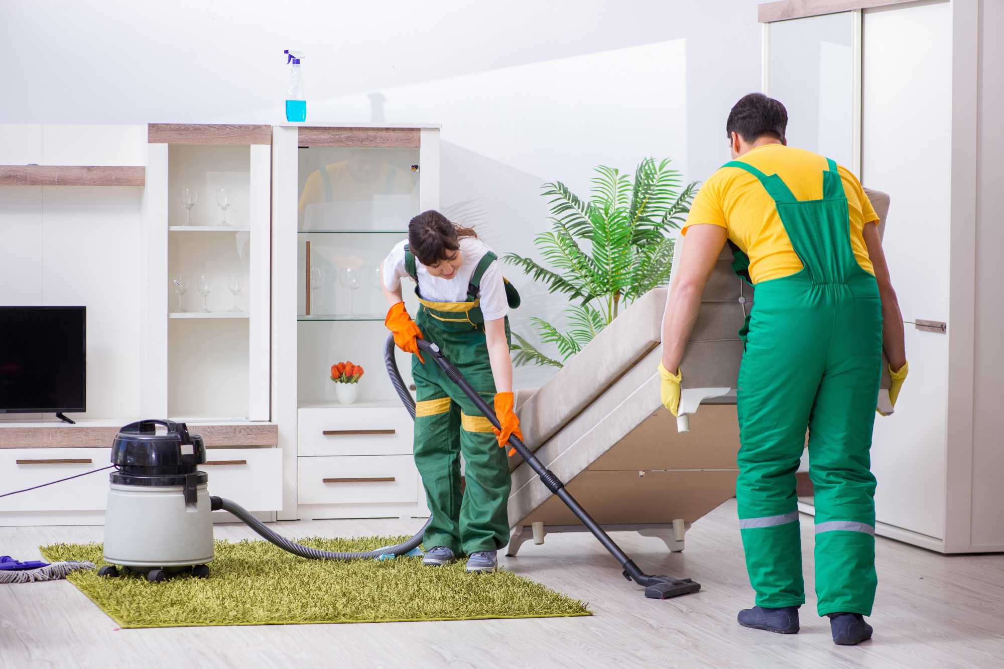 Residential Cleaning